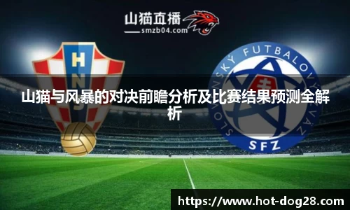 山猫与风暴的对决前瞻分析及比赛结果预测全解析